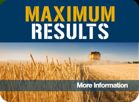Maximum Results